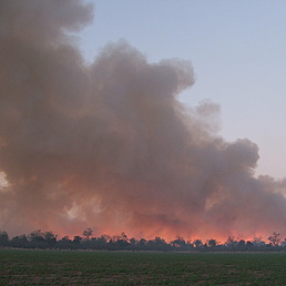 Forest fire in the South American Chaco A large cloud of smoke over a burning field at dusk.