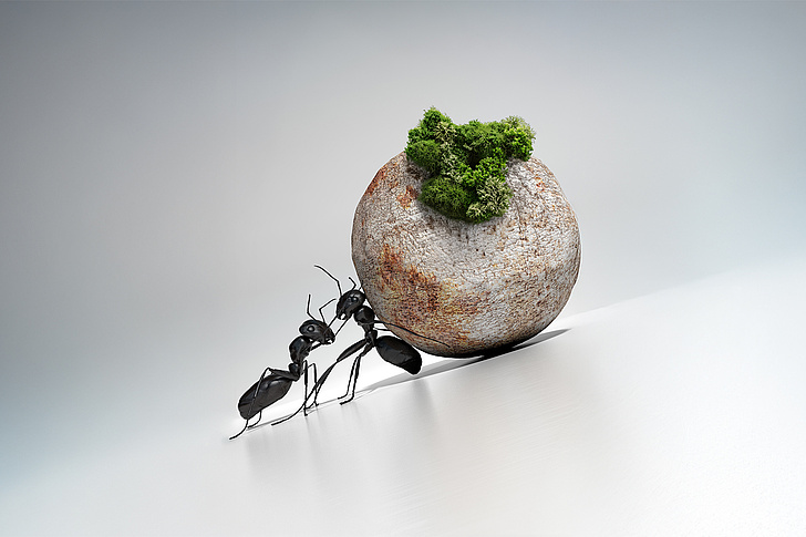 Key Picture Grand Challenge Conference Ameisen schieben gemeinsam eine Kugel, die wie ein Stein aussieht. Auf der Kugel liegt etwas Moos