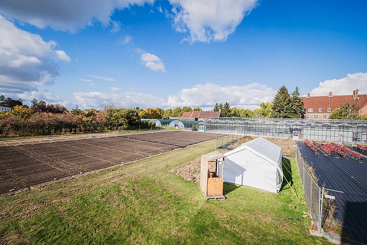 Campus Dahlem Blick über die Anlage des HU-Campus Dahlem mit Versuchsfeld, Gewächshäusern und roten Backsteinhäusern im Hintergrund