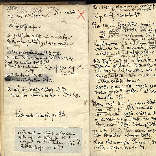 Notizen der Brüder Grimm in der "Geschichte der Hofnarren" Ein sehr altes, vergilbtes Buch mit handschriftlichen Notizen der Gebrüder Grimm in der "Geschichte der Hofnarren"
